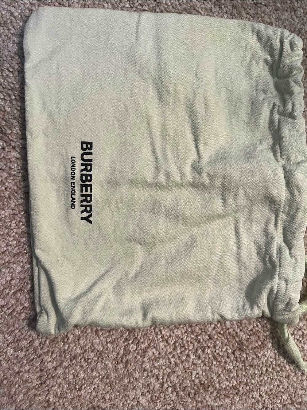 Authentic Burberry Light green Drawstring Logo Dust Pouch